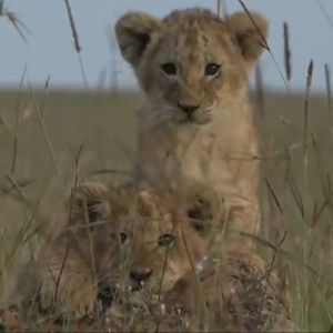 Meet your Posher, Cari